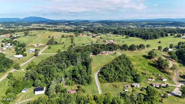 133 Hartmantown Rd, Jonesborough, TN 37659 - photo 78