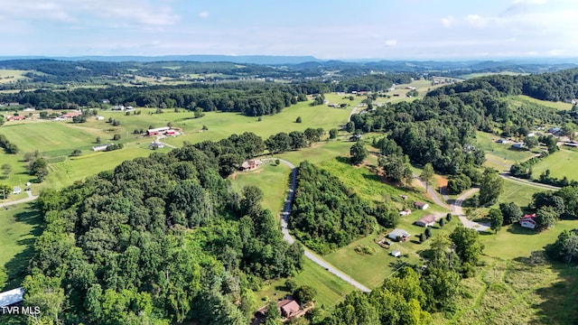 133 Hartmantown Rd, Jonesborough, TN 37659 - photo 77