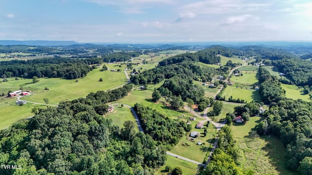 133 Hartmantown Rd, Jonesborough, TN 37659 - photo 76