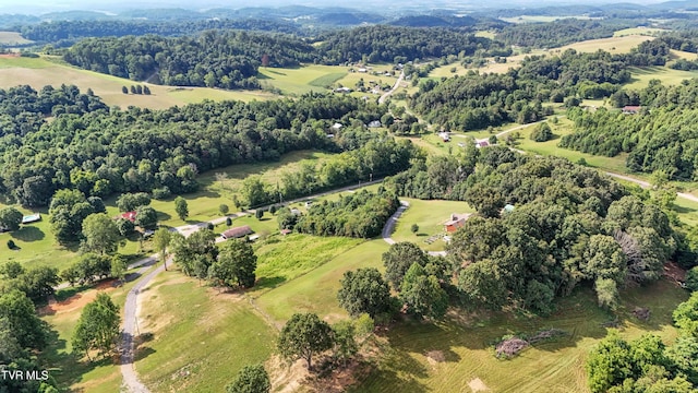 133 Hartmantown Rd, Jonesborough, TN 37659 - photo 72
