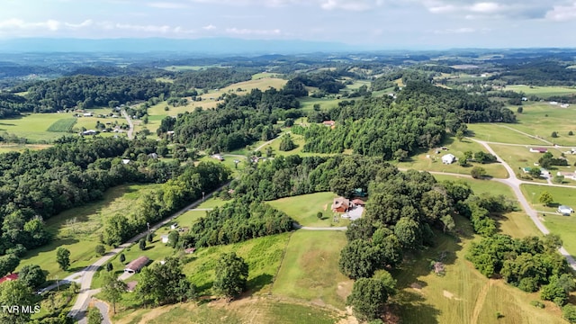 133 Hartmantown Rd, Jonesborough, TN 37659 - photo 71