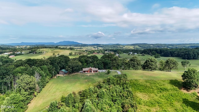 133 Hartmantown Rd, Jonesborough, TN 37659 - photo 68