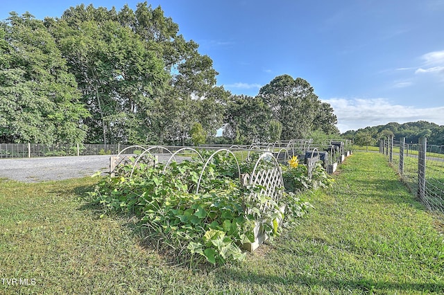 133 Hartmantown Rd, Jonesborough, TN 37659 - photo 8