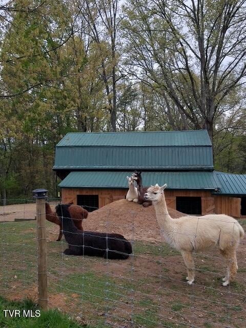 133 Hartmantown Rd, Jonesborough, TN 37659 - photo 55