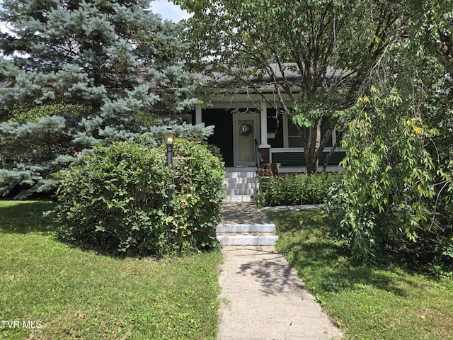 113 W 2nd St, Big Stone Gap, VA 24219 - photo 2