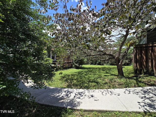113 W 2nd St, Big Stone Gap, VA 24219 - photo 8