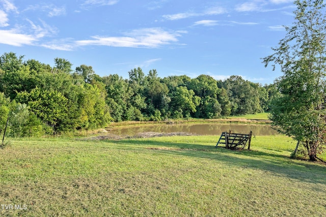 1070 Sunnyside Loop, Greeneville, TN 37743 - photo 3