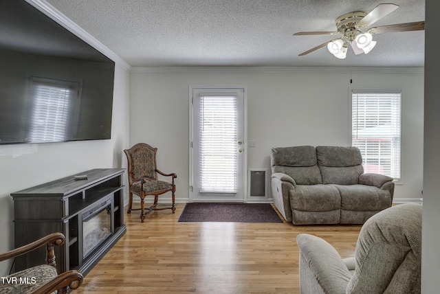 129 Violet Ln, Bluff City, TN 37618 - photo 11