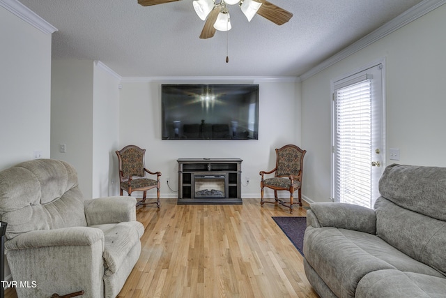129 Violet Ln, Bluff City, TN 37618 - photo 13