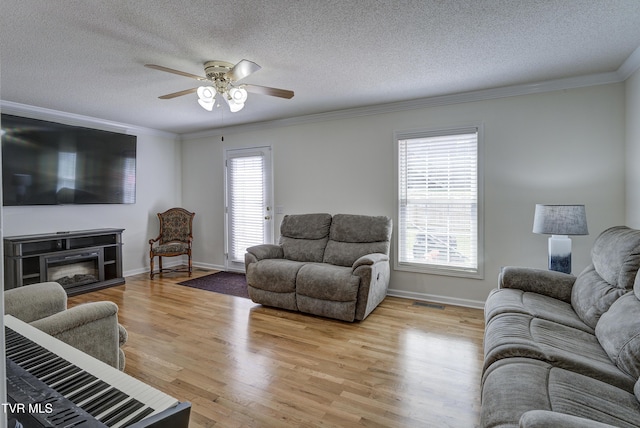 129 Violet Ln, Bluff City, TN 37618 - photo 14