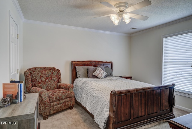 129 Violet Ln, Bluff City, TN 37618 - photo 22