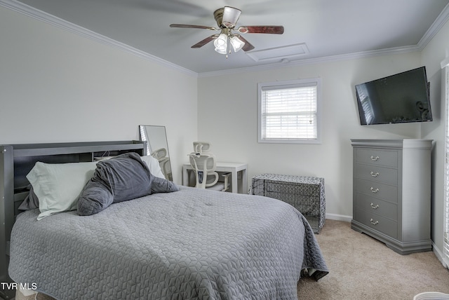 129 Violet Ln, Bluff City, TN 37618 - photo 28