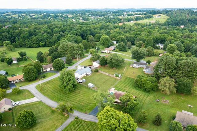 110 Wellington Ct, Gray, TN 37615 - photo 46