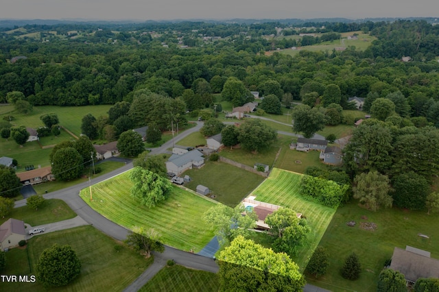 110 Wellington Ct, Gray, TN 37615 - photo 47