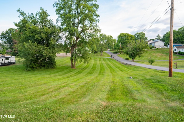 110 Wellington Ct, Gray, TN 37615 - photo 42