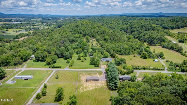 897 Bulls Gap Saint Clair Rd, Bulls Gap, TN 37711 - photo 30