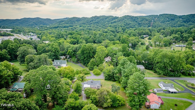 1837 Holston Dr, Bristol, TN 37620 - photo 42