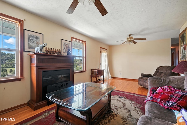 1037 Overhill Dr, Rogersville, TN 37857 - photo 8