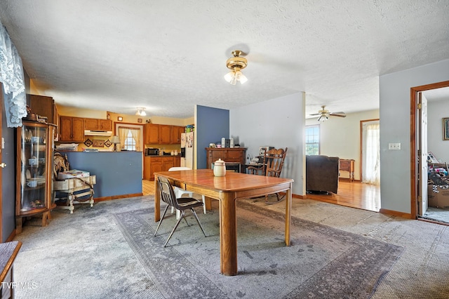 1037 Overhill Dr, Rogersville, TN 37857 - photo 10