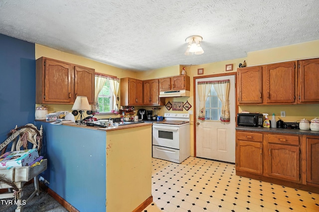 1037 Overhill Dr, Rogersville, TN 37857 - photo 13