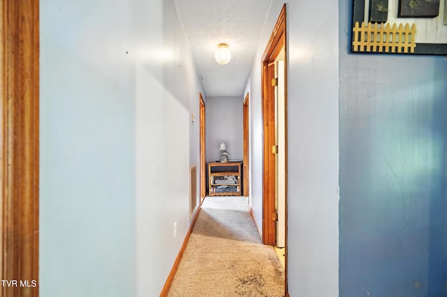 1037 Overhill Dr, Rogersville, TN 37857 - photo 15