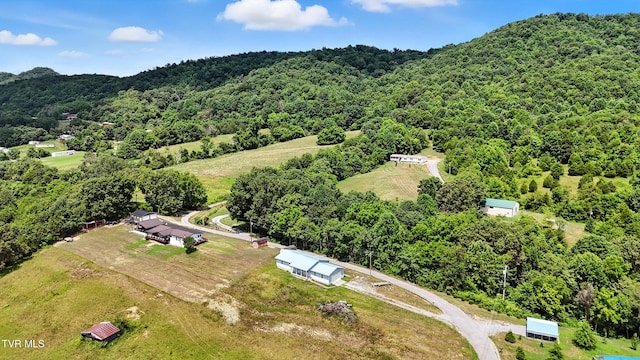 1037 Overhill Dr, Rogersville, TN 37857 - photo 35