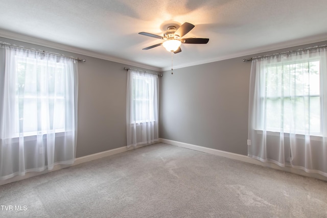 50 Abbie Ln, Bristol, TN 37620 - photo 44