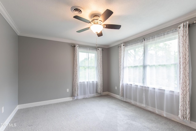 50 Abbie Ln, Bristol, TN 37620 - photo 45