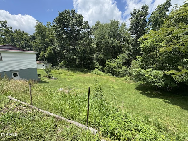 453 Beechwood Rd, Kingsport, TN 37663 - photo 35
