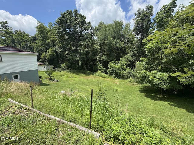 453 Beechwood Rd, Kingsport, TN 37663 - photo 38