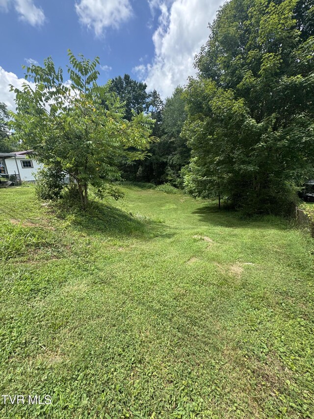 453 Beechwood Rd, Kingsport, TN 37663 - photo 37