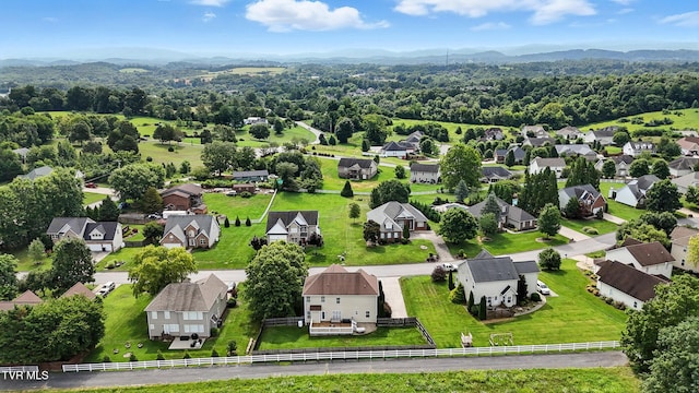 118 Ridgeview Meadows Dr, Johnson City, TN 37615 - photo 49