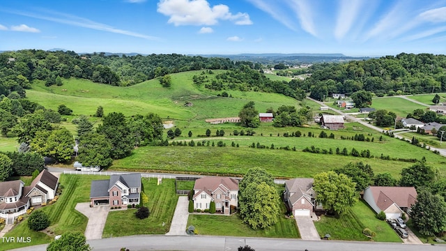 118 Ridgeview Meadows Dr, Johnson City, TN 37615 - photo 50