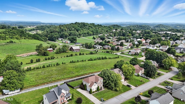 118 Ridgeview Meadows Dr, Johnson City, TN 37615 - photo 51