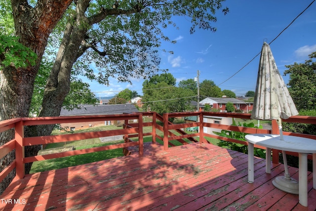 1425 Prospect Dr, Kingsport, TN 37664 - photo 29