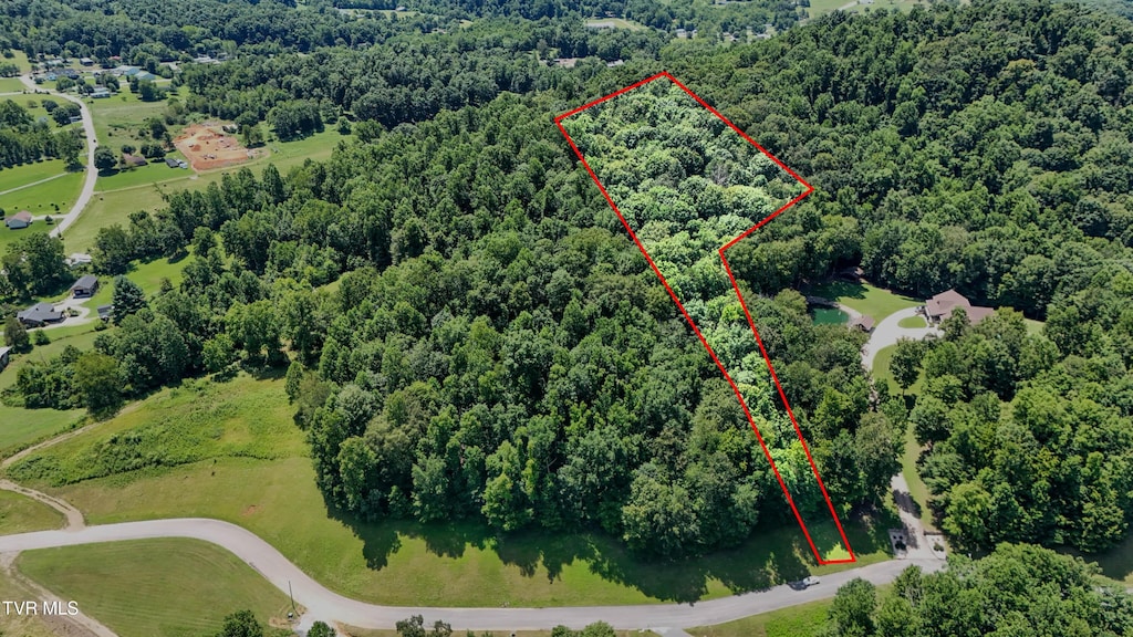 TBD Tailwater Rd, Bluff City, TN 37618 - photo 1