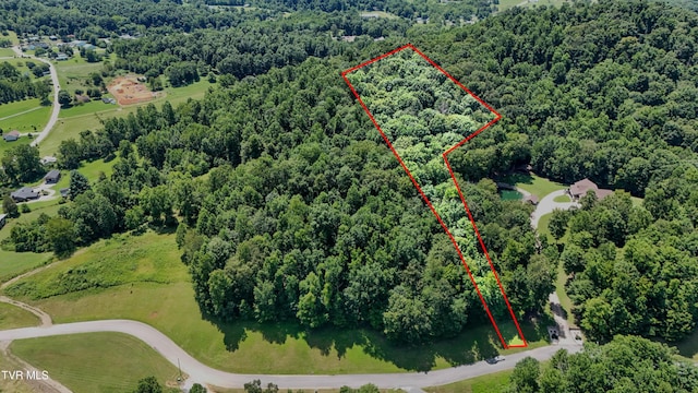 TBD Tailwater Rd, Bluff City, TN 37618 - photo 1