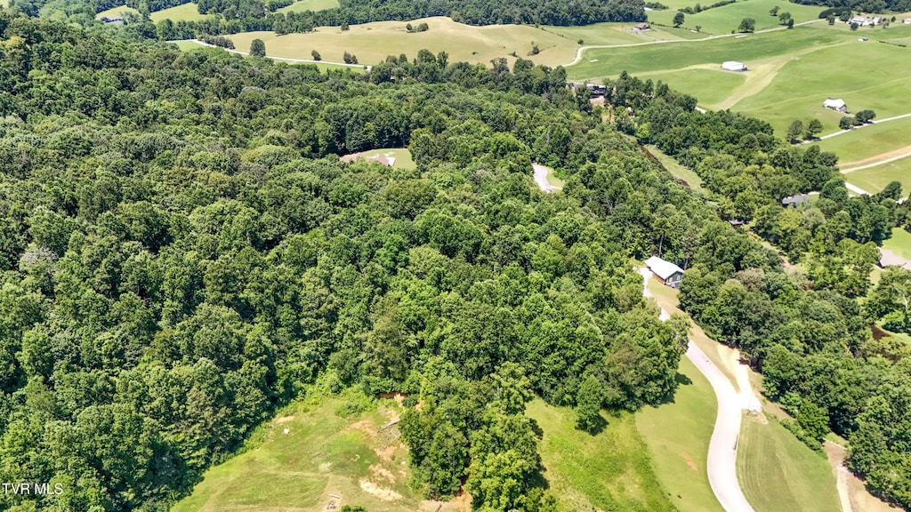 TBD Tailwater Rd, Bluff City, TN 37618 - photo 2