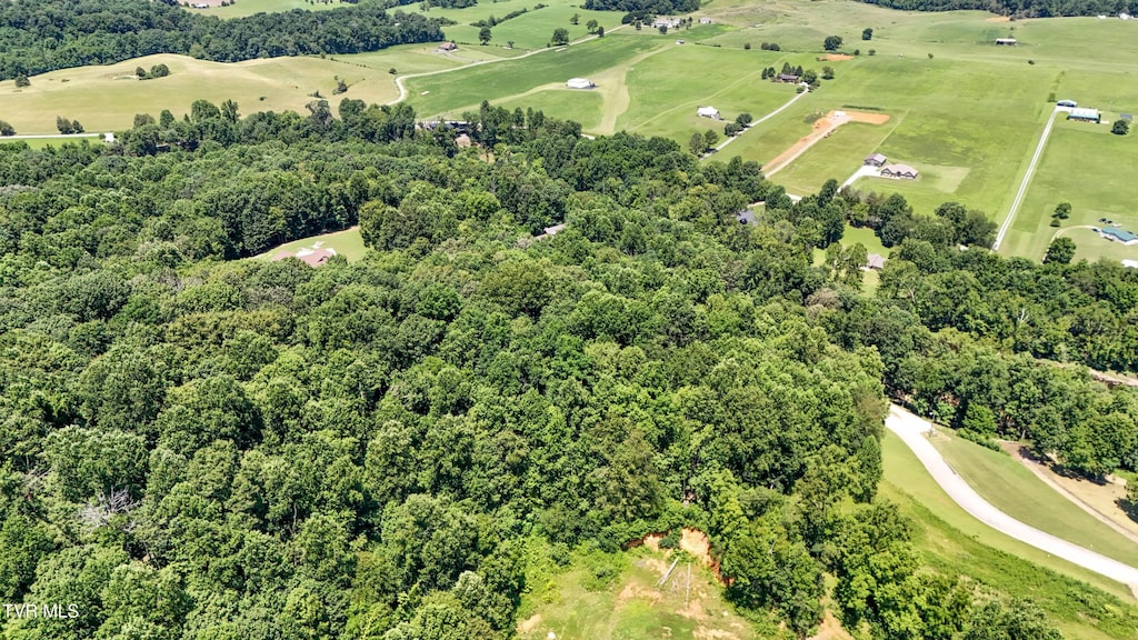 TBD Tailwater Rd, Bluff City, TN 37618 - photo 3