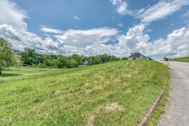 Tbd Cross Anchor Place, Piney Flats, TN 37686 - photo 14