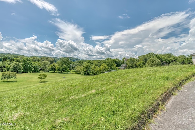 Tbd Cross Anchor Place, Piney Flats, TN 37686 - photo 15