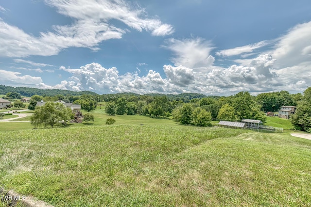 Tbd Cross Anchor Place, Piney Flats, TN 37686 - photo 16