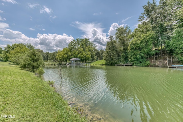 Tbd Cross Anchor Place, Piney Flats, TN 37686 - photo 20