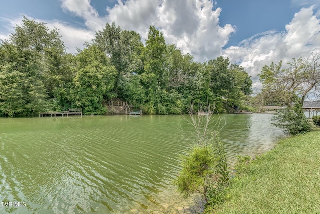 Tbd Cross Anchor Place, Piney Flats, TN 37686 - photo 21