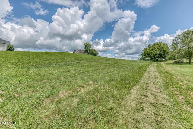 Tbd Cross Anchor Place, Piney Flats, TN 37686 - photo 23