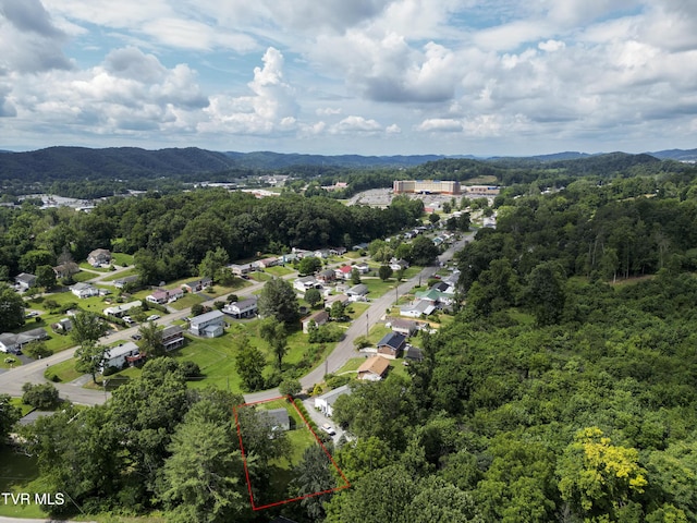 2117 Westfield St, Bristol, VA 24201 - photo 20