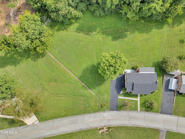 508 Meadowlark Dr, Greeneville, TN 37743 - photo 50