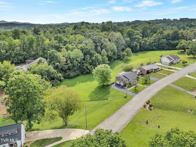 508 Meadowlark Dr, Greeneville, TN 37743 - photo 51