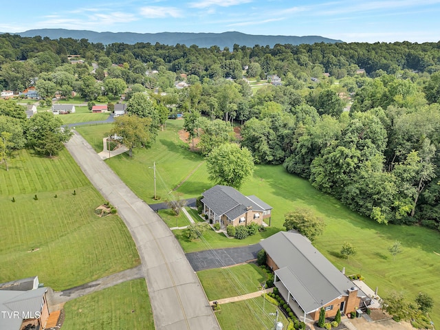 508 Meadowlark Dr, Greeneville, TN 37743 - photo 52