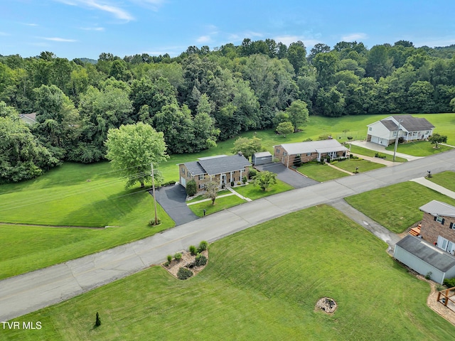 508 Meadowlark Dr, Greeneville, TN 37743 - photo 54